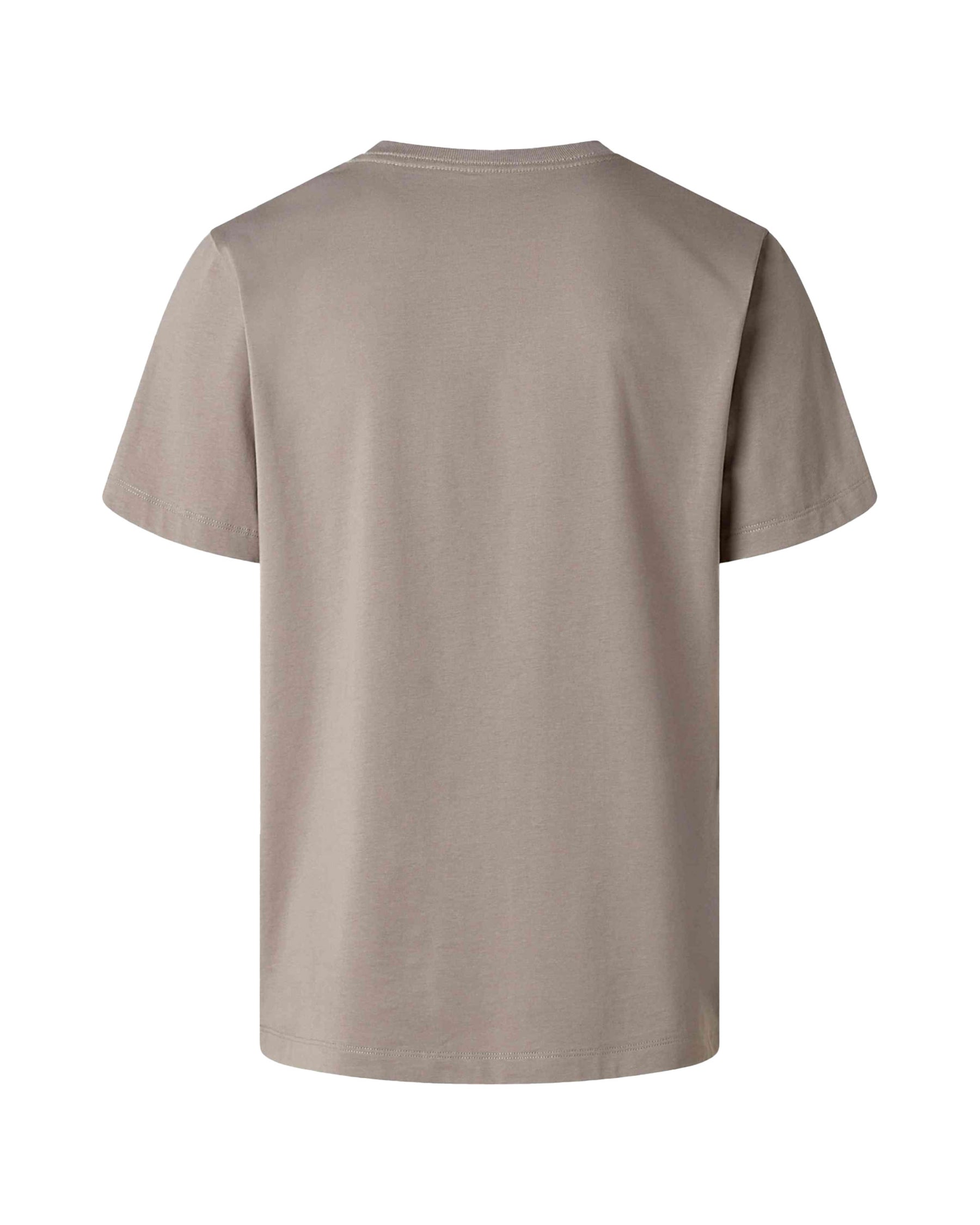The North Face Evolution Simple Dome Regular Men's T-Shirt Sand