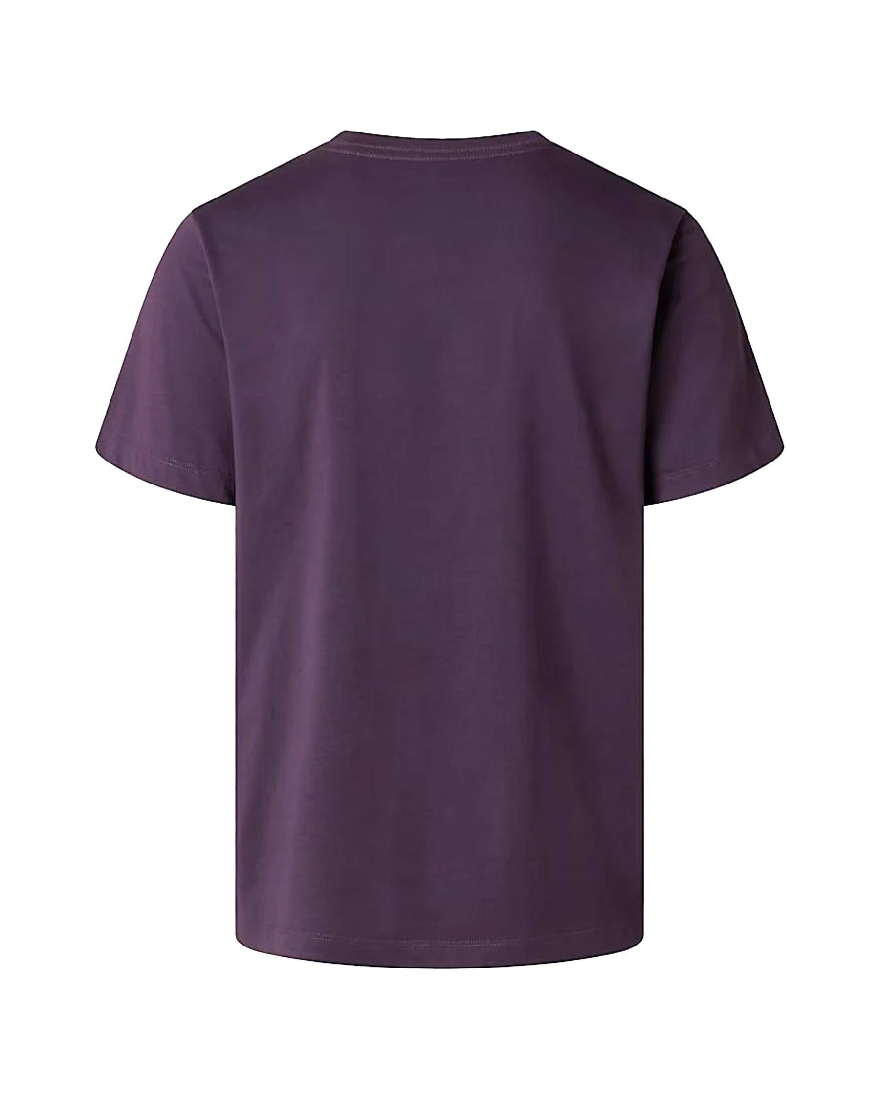 The North Face Evolution Simple Dome Regular Men's T-Shirt Purple