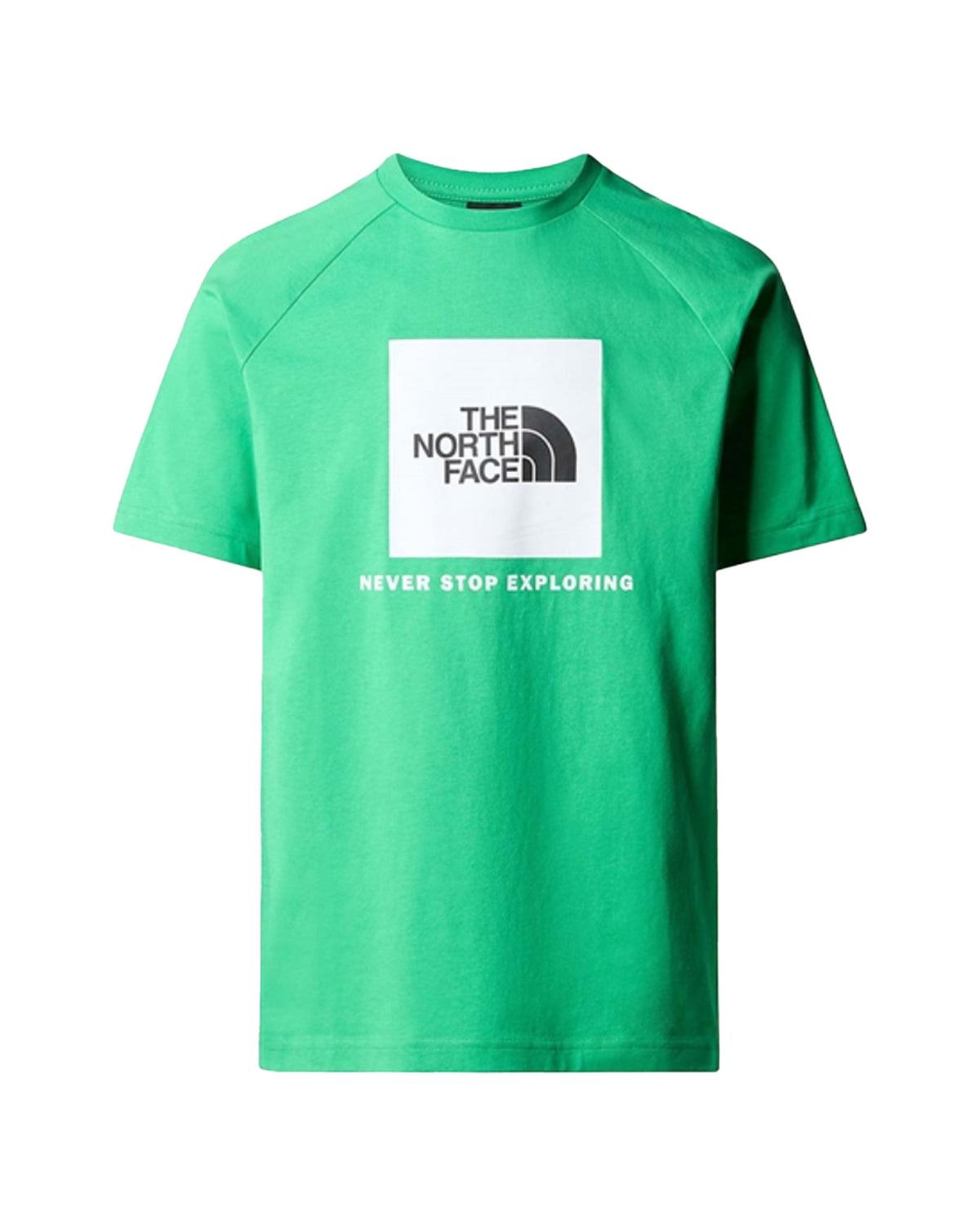 T-Shirt Uomo The North Face RedBox Verde