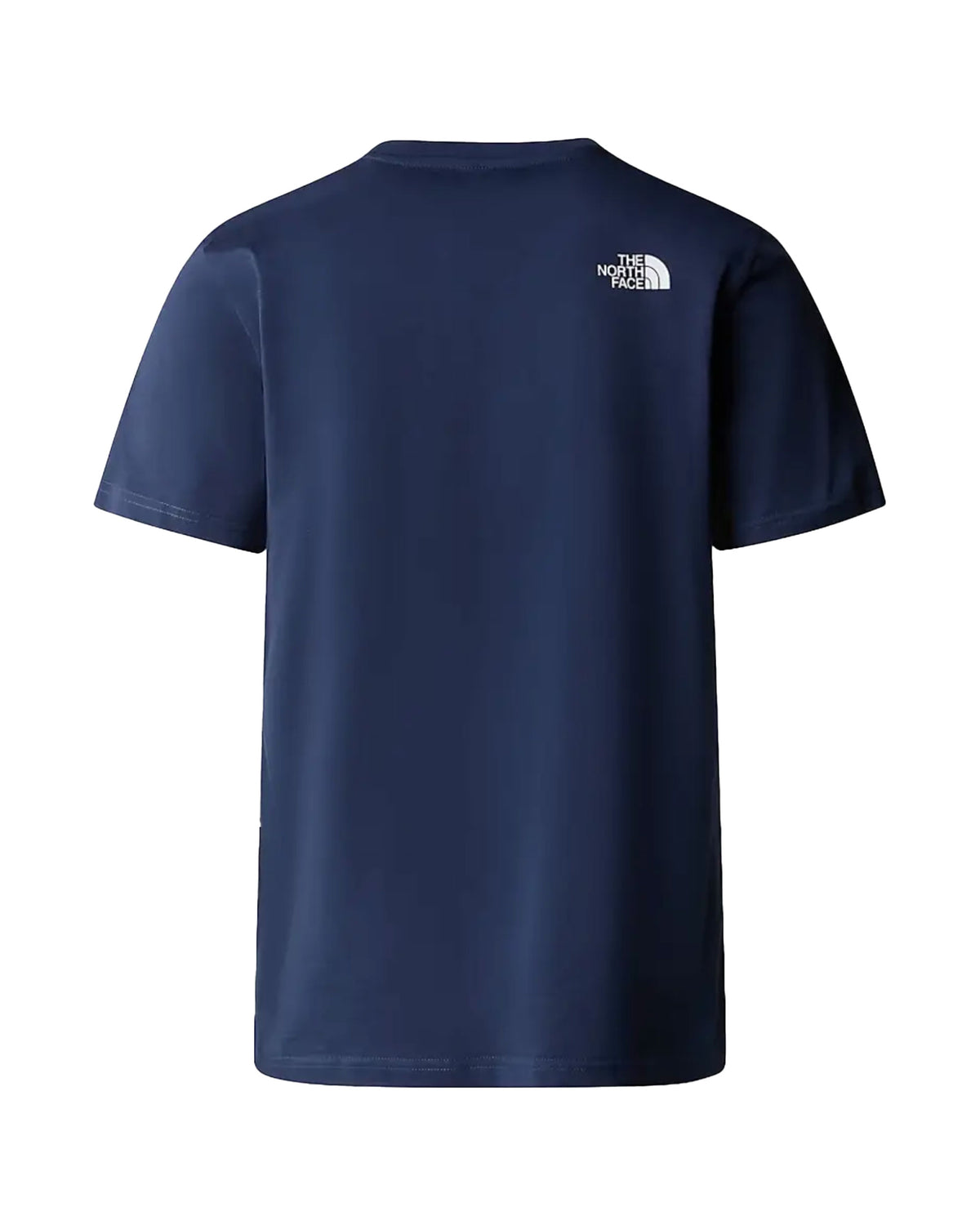 T-Shirt uomo The North Face Easy Blu