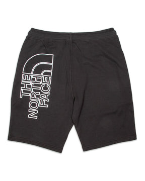 Bermuda Uomo The North Face Graphic Short Nero