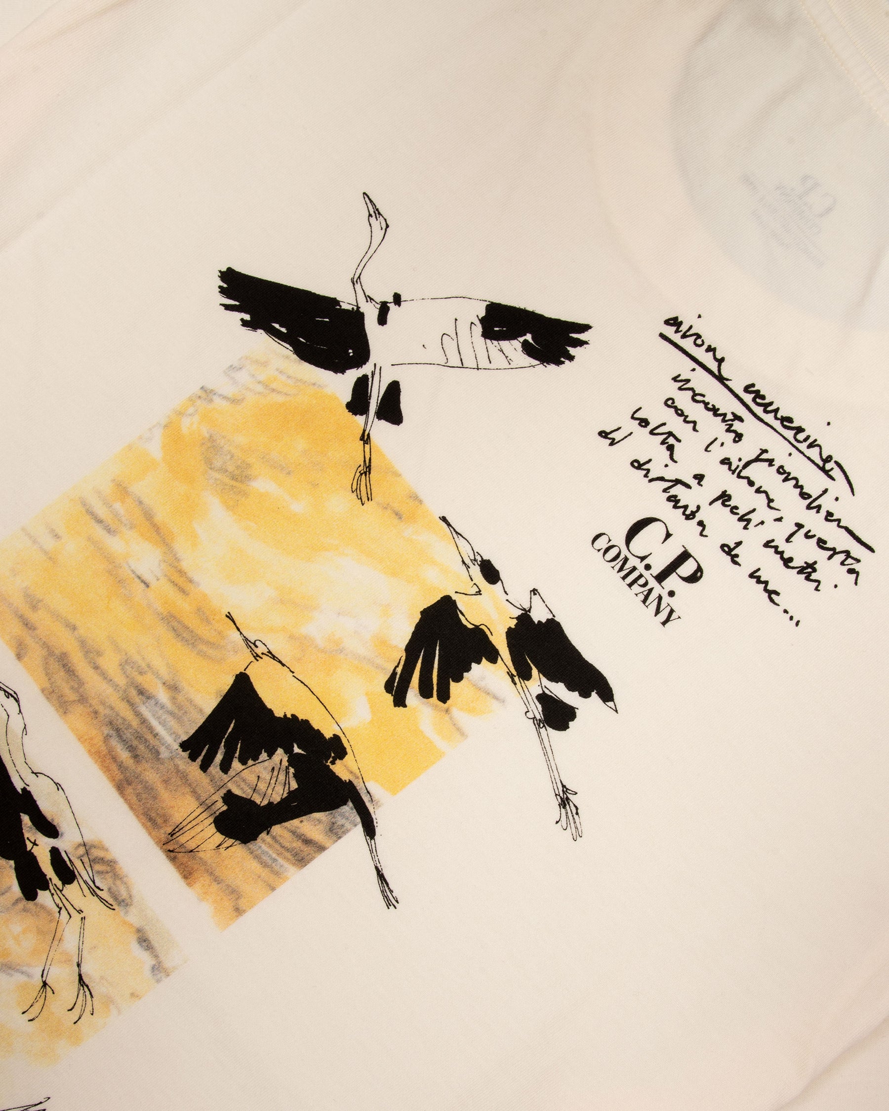 Jersey Sketch Graphic T-shirt White 12CMTS312A-005431G-115
