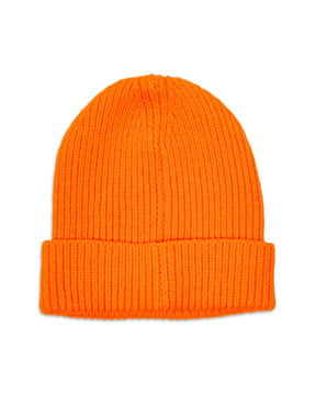 Cappello Beanie The North Face NF0A3FJXA6M1