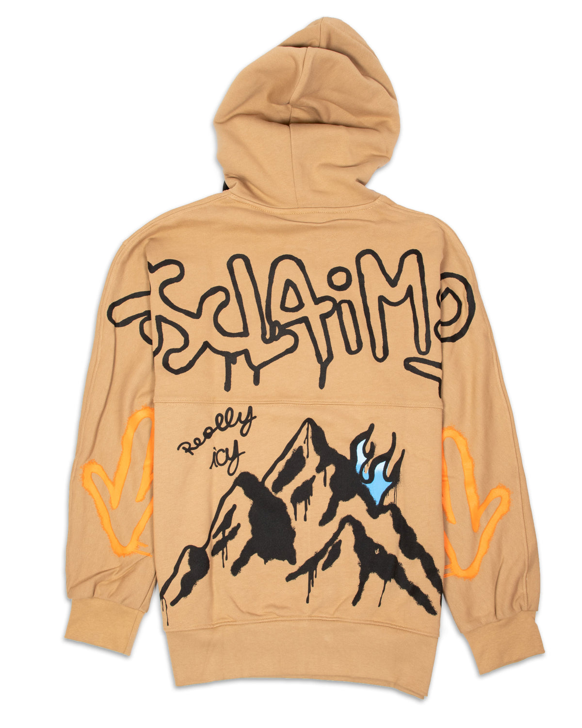 Man Hoodie Disclaimer Mountain