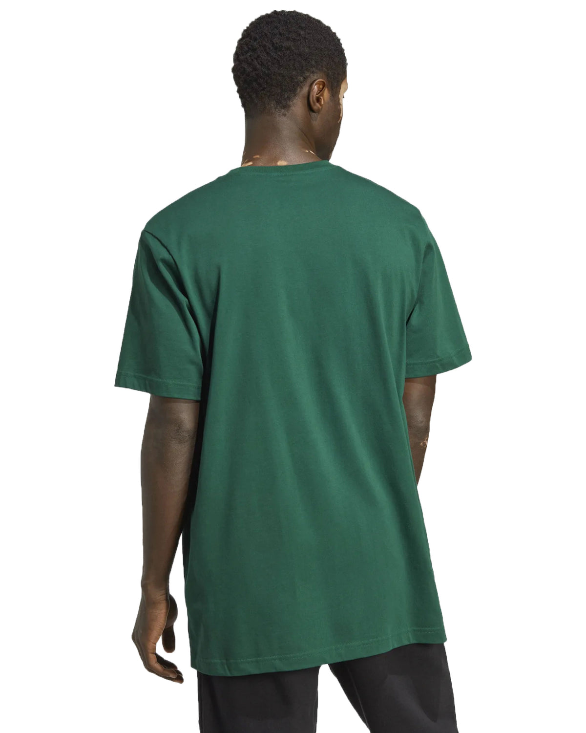 T-Shirt Adidas Originals ADV Mountain Tee Verde