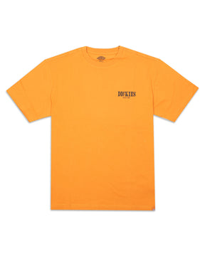 Man T-Shirt Dickies Kelso Orange