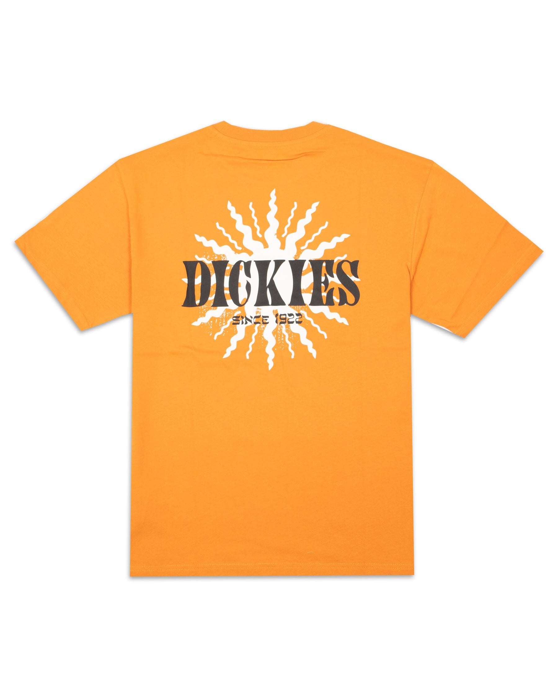 Man T-Shirt Dickies Kelso Orange