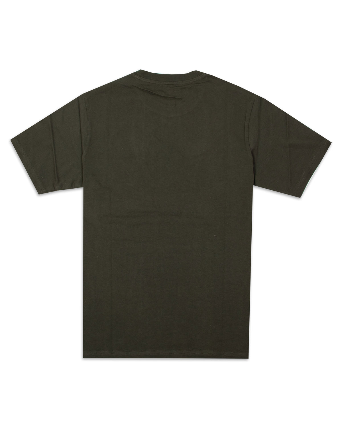 Man Tee Dickies SS-Mapleton Military Green