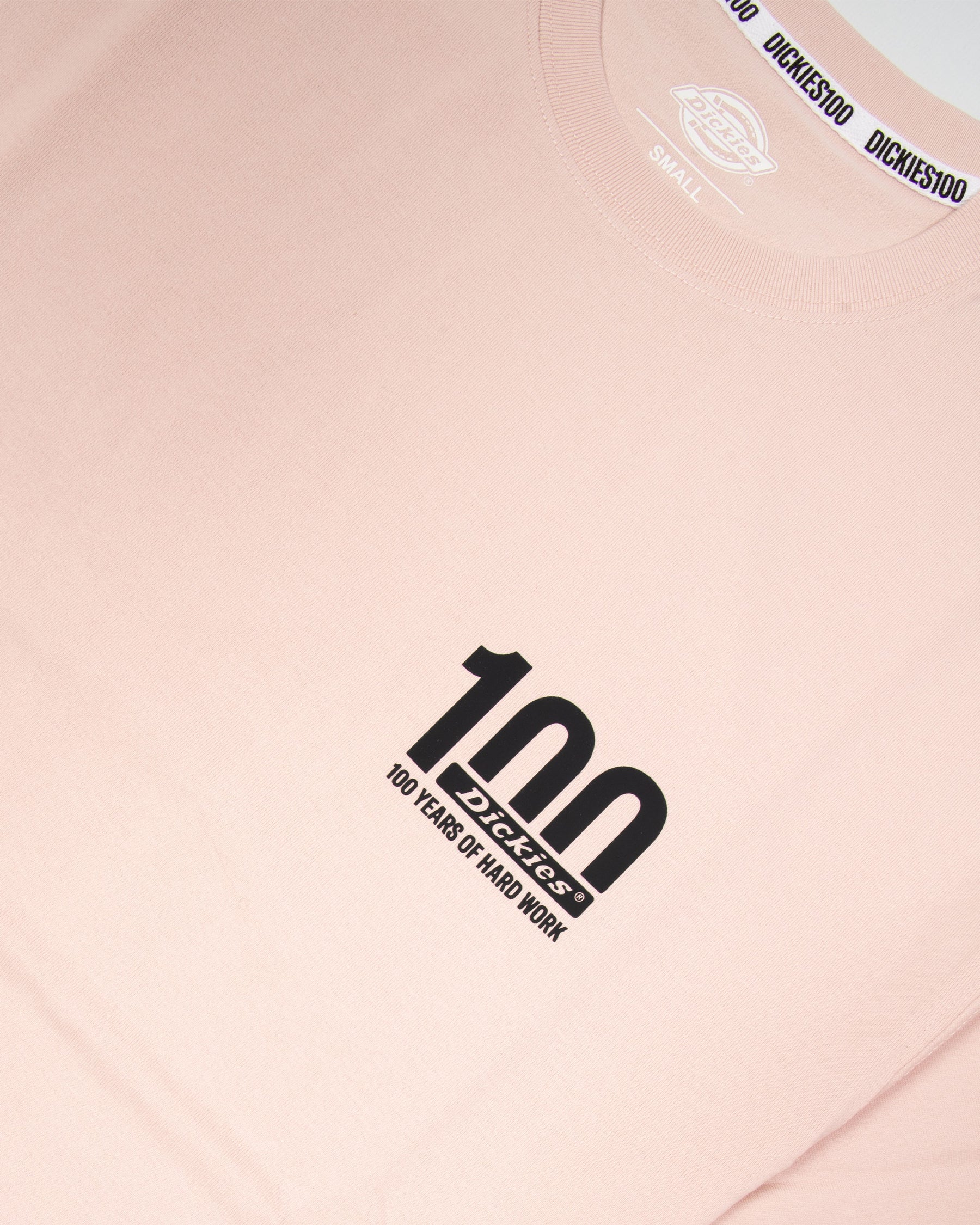 T-Shirt Uomo Dickies 100 Logo Rosa