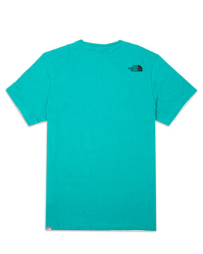 T-Shirt Uomo The North Face Simple Dome Classic Logo Verde
